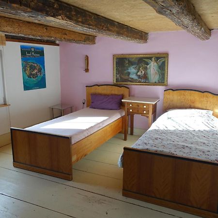 Ferienwohnung Fink Tengen エクステリア 写真